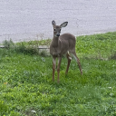 witchy-dude23 avatar