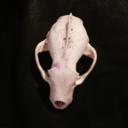 witchypunkmarshmallow avatar