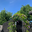 with-a-love-like-yours avatar