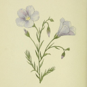 with-rainbow-sprinkles avatar