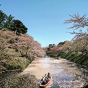 withfortitude avatar