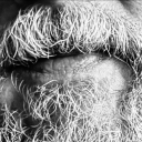 withoutmypantson-v6 avatar