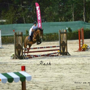 withyouforevermyhorse avatar