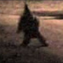 wizard-randall avatar