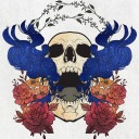 wizard-wolf-writer avatar