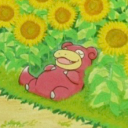 wizardly-shrimp avatar