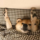 woahimnottrash avatar