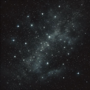 wolf-dog-javert avatar