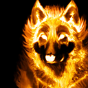 wolfamongsttheflames avatar