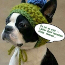 wolfgangamade avatar