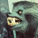 wolfgangamadeusmustfart avatar