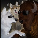 wolfgirlhours avatar