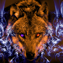 wolfklaine-blog avatar