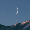 wolfmilk-and-polenta avatar