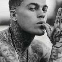 wolfontheloose avatar