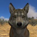 wolfquest-journals-blog avatar