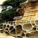 wolfwindcollective avatar