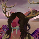 wolpertinger-tas avatar