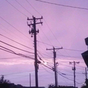 wolves-with-wings avatar