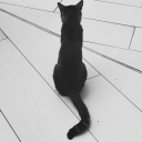 womanhidinginbooks avatar