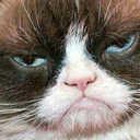 wonderful-world-of-midget-mcgee avatar