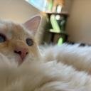 wonderfulvices avatar