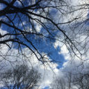 wonderingwithwandering avatar