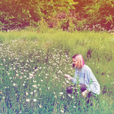 wonderland2022 avatar