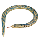 woodesnake avatar