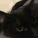 woodfloorwitch avatar