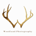 woodlandphotography avatar