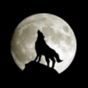 wordofthewolf avatar