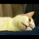 wordsinto-thevoid avatar