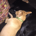 wordslikebreath avatar