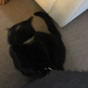 wormonastrong avatar