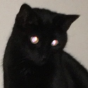 worn-out-hoody avatar