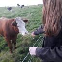 would-you-care-for-a-jellybaby avatar