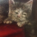 wowallofthenamesaretaken avatar