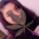 wowimhighlmao avatar