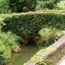 wrestlingaknife avatar