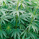 wrighttalentagency avatar