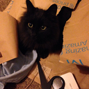 writemeastorydaily avatar