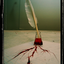 writer-blood avatar