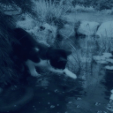 writerinlearning avatar