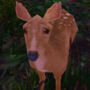 writerssucculents avatar