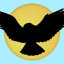 writes-in-skies avatar