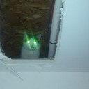 writingfairycat avatar