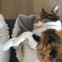 writingmyownepitaph avatar