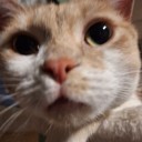 writingsbyzoe avatar