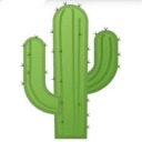 writingsfromthecactus avatar
